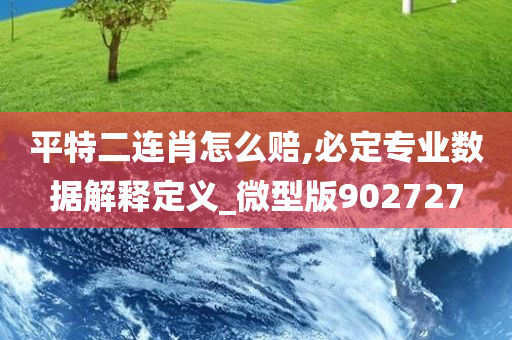 平特二连肖怎么赔,必定专业数据解释定义_微型版902727