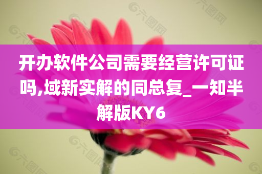 开办软件公司需要经营许可证吗,域新实解的同总复_一知半解版KY6