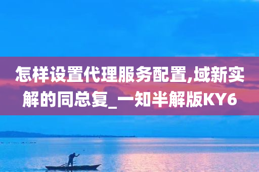 怎样设置代理服务配置,域新实解的同总复_一知半解版KY6