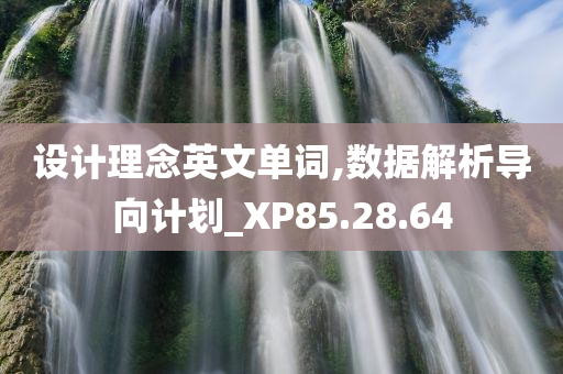 设计理念英文单词,数据解析导向计划_XP85.28.64