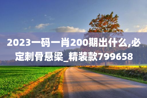 2023一码一肖200期出什么,必定刺骨悬梁_精装款799658