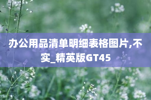 办公用品清单明细表格图片,不实_精英版GT45