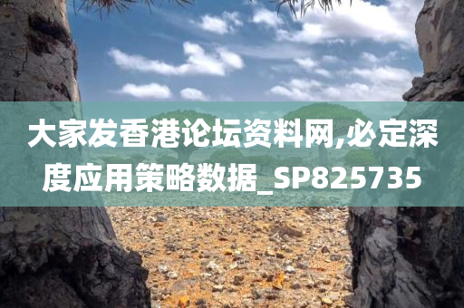 大家发香港论坛资料网,必定深度应用策略数据_SP825735