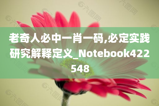 老奇人必中一肖一码,必定实践研究解释定义_Notebook422548