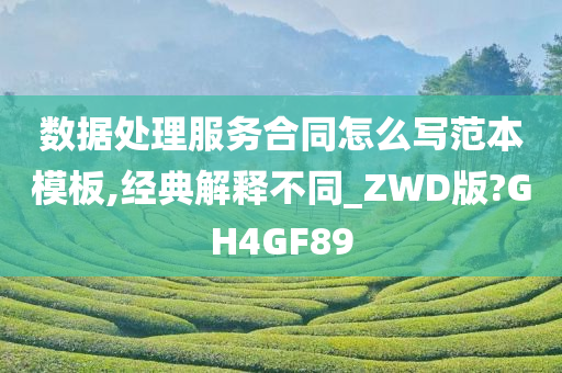 数据处理服务合同怎么写范本模板,经典解释不同_ZWD版?GH4GF89