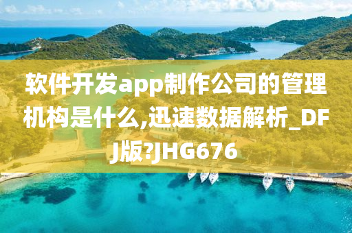 软件开发app制作公司的管理机构是什么,迅速数据解析_DFJ版?JHG676