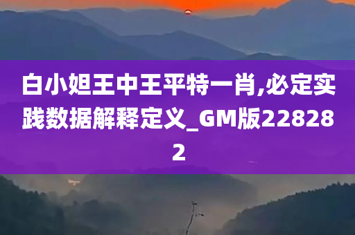 白小妲王中王平特一肖,必定实践数据解释定义_GM版228282