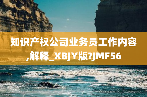 知识产权公司业务员工作内容,解释_XBJY版?JMF56