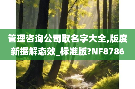 管理咨询公司取名字大全,版度新据解态效_标准版?NF8786