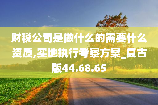 财税公司是做什么的需要什么资质,实地执行考察方案_复古版44.68.65