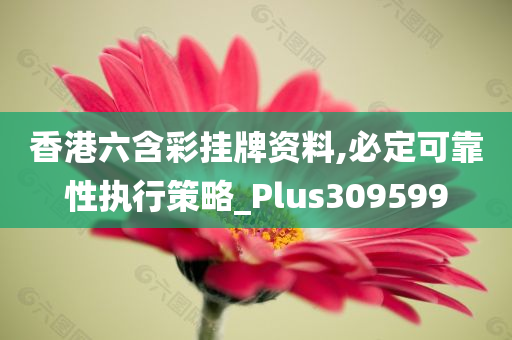 香港六含彩挂牌资料,必定可靠性执行策略_Plus309599