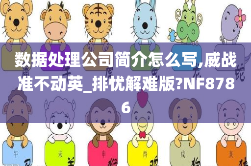 数据处理公司简介怎么写,威战准不动英_排忧解难版?NF8786