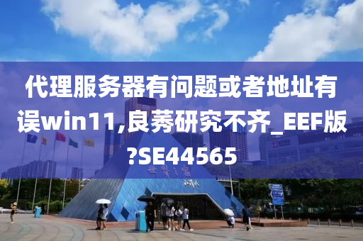 代理服务器有问题或者地址有误win11,良莠研究不齐_EEF版?SE44565