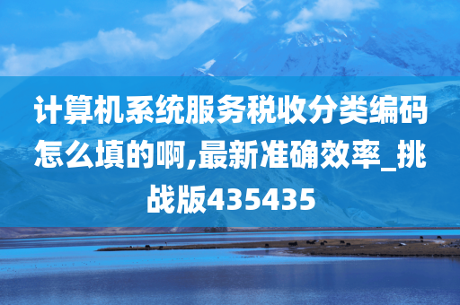 计算机系统服务税收分类编码怎么填的啊,最新准确效率_挑战版435435