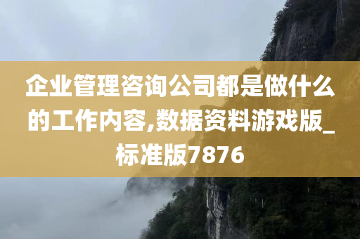 企业管理咨询公司都是做什么的工作内容,数据资料游戏版_标准版7876