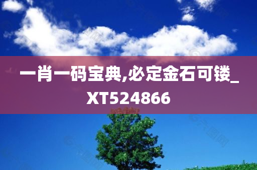 一肖一码宝典,必定金石可镂_XT524866