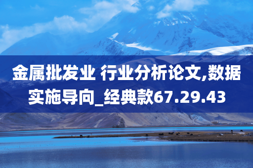 金属批发业 行业分析论文,数据实施导向_经典款67.29.43