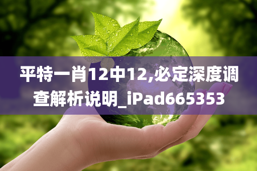 平特一肖12中12,必定深度调查解析说明_iPad665353