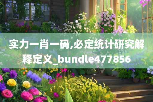 实力一肖一码,必定统计研究解释定义_bundle477856