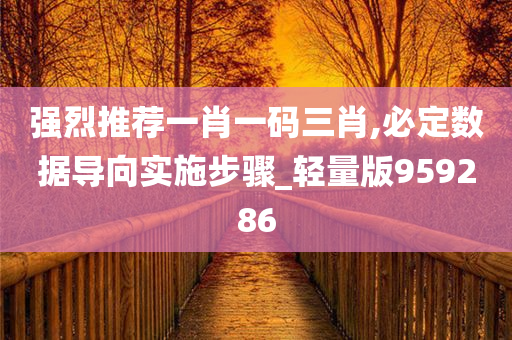 强烈推荐一肖一码三肖,必定数据导向实施步骤_轻量版959286