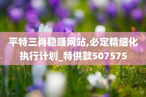 平特三肖稳赚网站,必定精细化执行计划_特供款507575