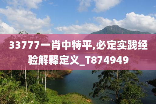 33777一肖中特平,必定实践经验解释定义_T874949