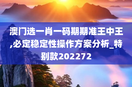 澳门选一肖一码期期准王中王,必定稳定性操作方案分析_特别款202272