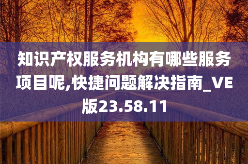 知识产权服务机构有哪些服务项目呢,快捷问题解决指南_VE版23.58.11