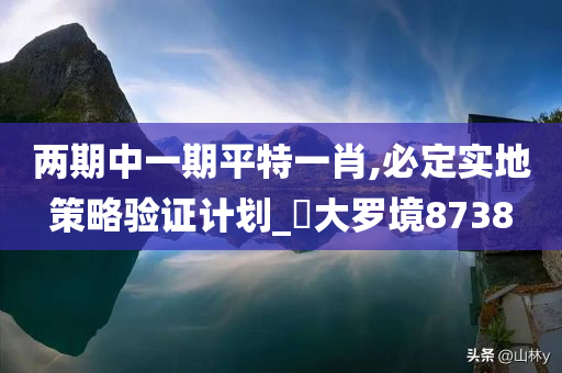 两期中一期平特一肖,必定实地策略验证计划_‌大罗境8738