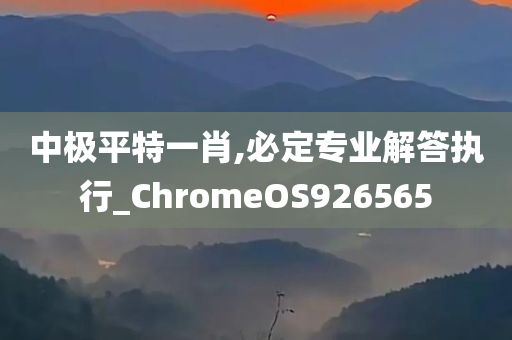 中极平特一肖,必定专业解答执行_ChromeOS926565