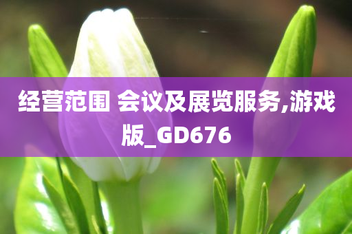 经营范围 会议及展览服务,游戏版_GD676