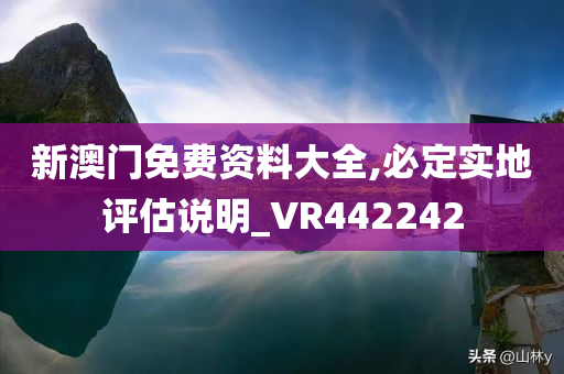 新澳门免费资料大全,必定实地评估说明_VR442242