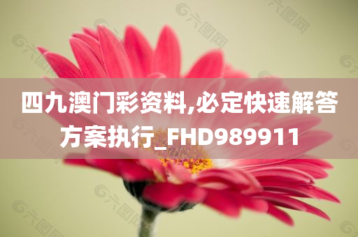 四九澳门彩资料,必定快速解答方案执行_FHD989911