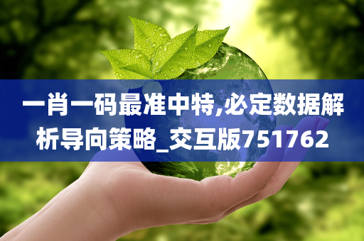 一肖一码最准中特,必定数据解析导向策略_交互版751762