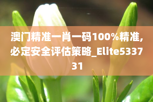 澳门精准一肖一码100%精准,必定安全评估策略_Elite533731