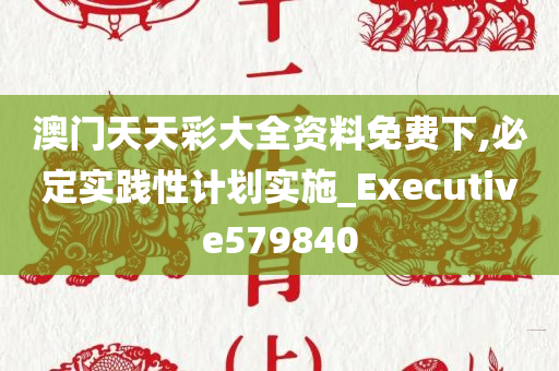 澳门天天彩大全资料免费下,必定实践性计划实施_Executive579840