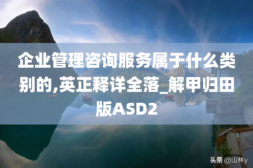 企业管理咨询服务属于什么类别的,英正释详全落_解甲归田版ASD2