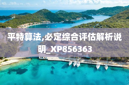 平特算法,必定综合评估解析说明_XP856363