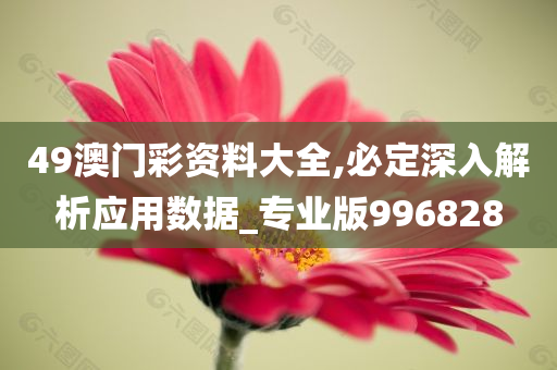 49澳门彩资料大全,必定深入解析应用数据_专业版996828