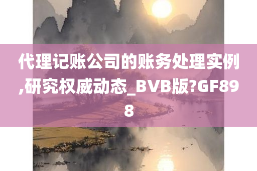 代理记账公司的账务处理实例,研究权威动态_BVB版?GF898