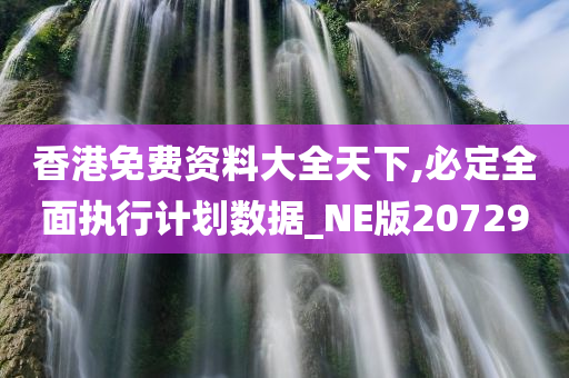 香港免费资料大全天下,必定全面执行计划数据_NE版207290