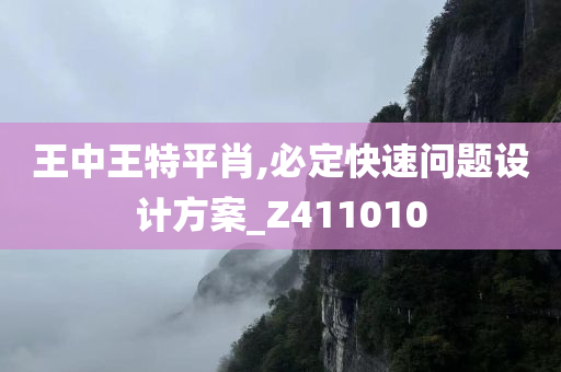 王中王特平肖,必定快速问题设计方案_Z411010