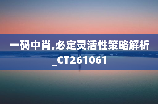 一码中肖,必定灵活性策略解析_CT261061