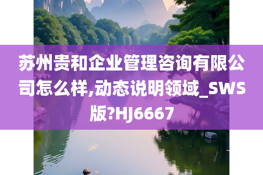 苏州贵和企业管理咨询有限公司怎么样,动态说明领域_SWS版?HJ6667