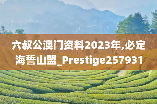 六叔公澳门资料2023年,必定海誓山盟_Prestige257931