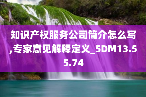 知识产权服务公司简介怎么写,专家意见解释定义_5DM13.55.74