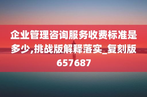 企业管理咨询服务收费标准是多少,挑战版解释落实_复刻版657687