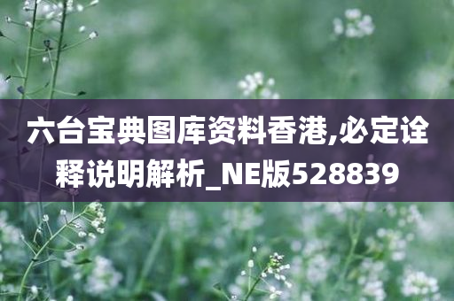 六台宝典图库资料香港,必定诠释说明解析_NE版528839