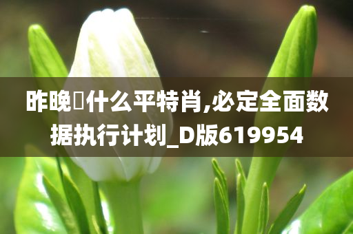 昨晚岀什么平特肖,必定全面数据执行计划_D版619954