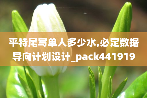 平特尾写单人多少水,必定数据导向计划设计_pack441919